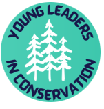 YLICP Logo